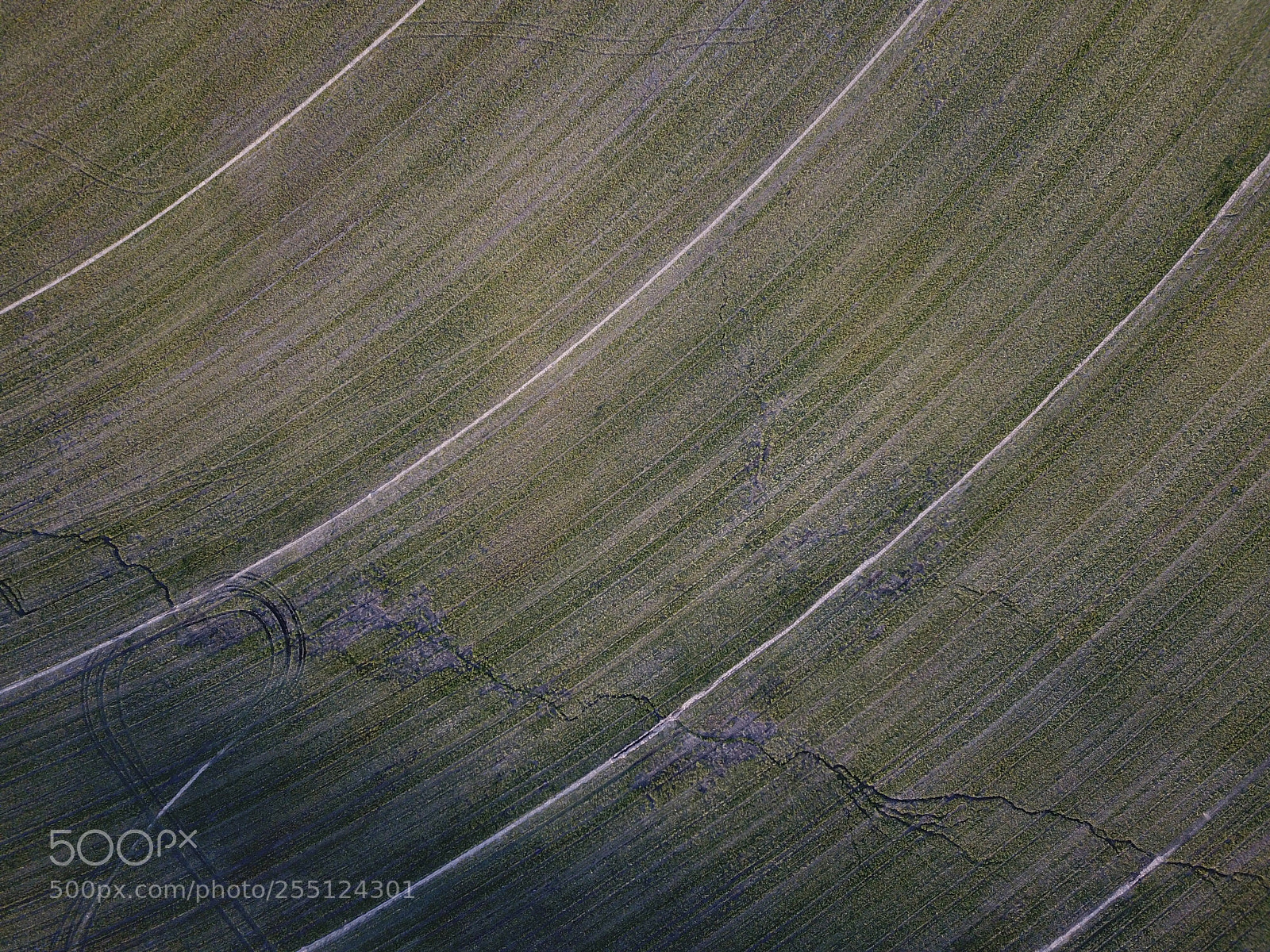 DJI FC220 sample photo. Arcs  photography