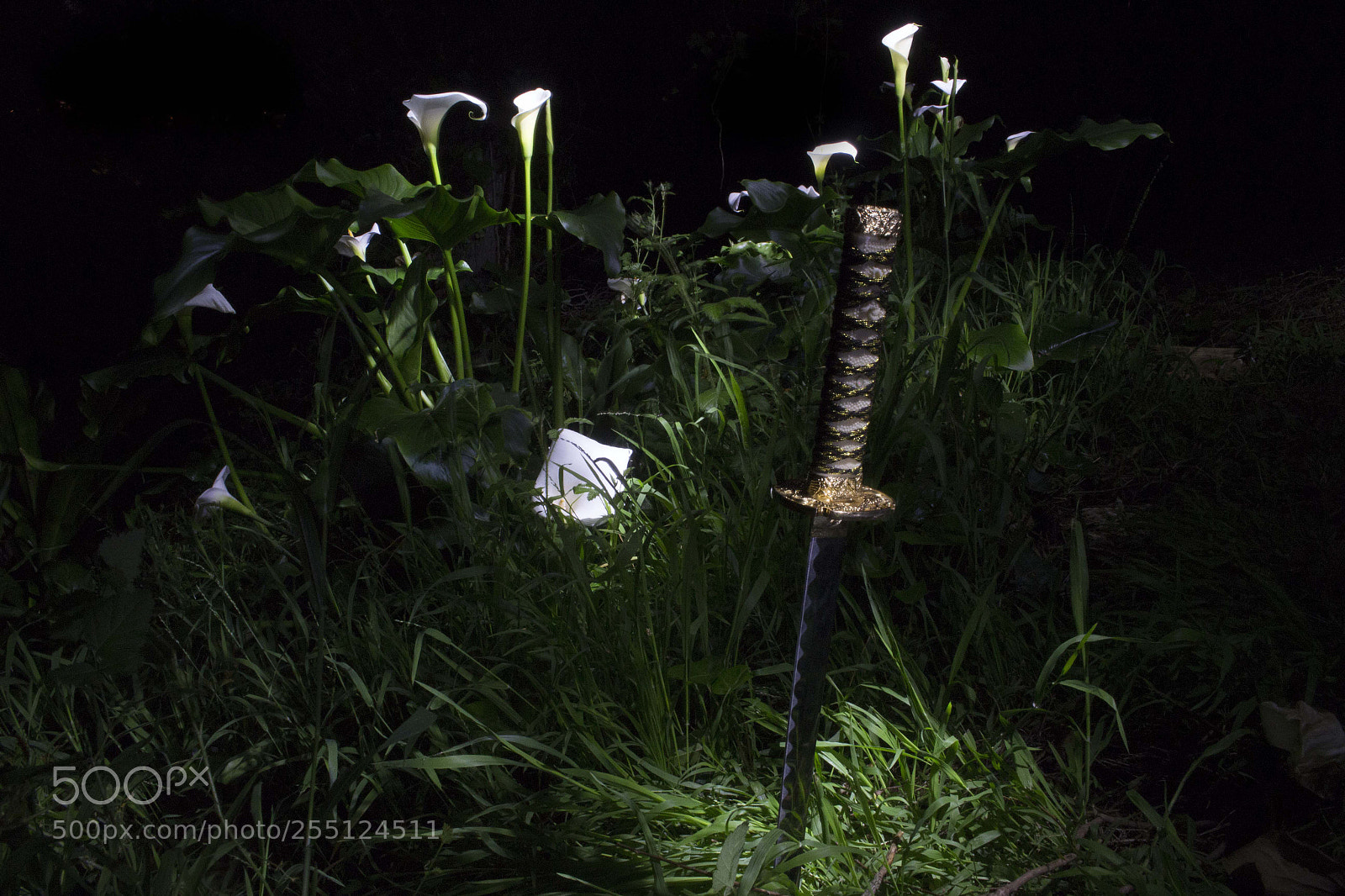 Canon EOS 700D (EOS Rebel T5i / EOS Kiss X7i) sample photo. Lilies photography
