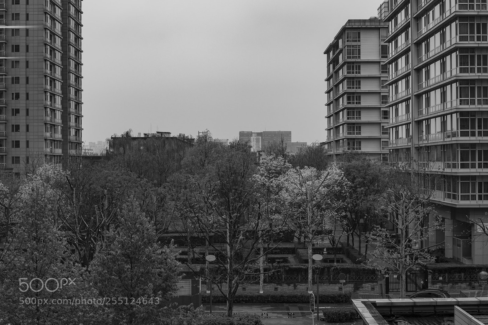 Nikon D850 sample photo. Window view in a photography