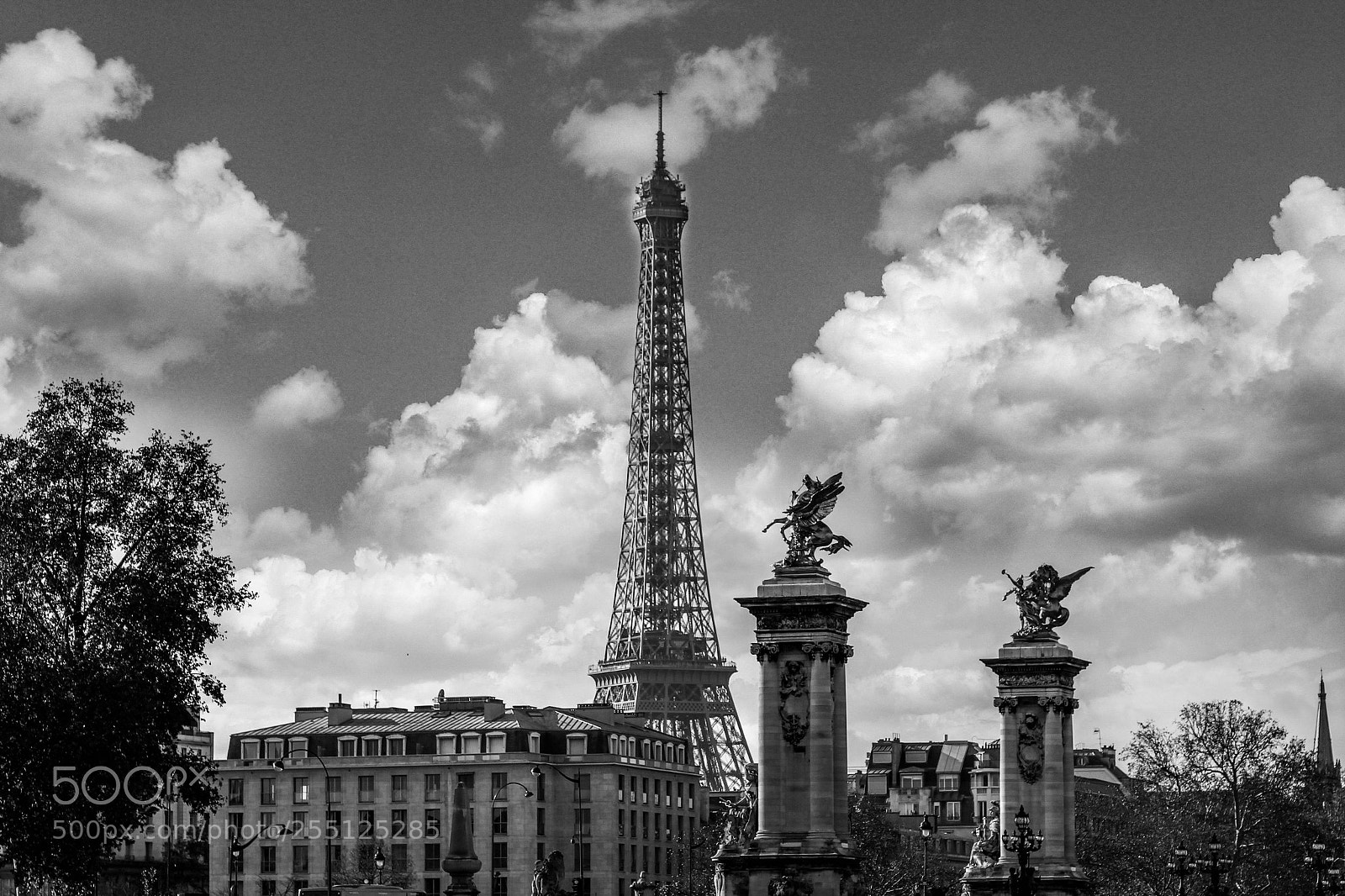 Canon EOS 550D (EOS Rebel T2i / EOS Kiss X4) sample photo. Paris eifel b&w photography