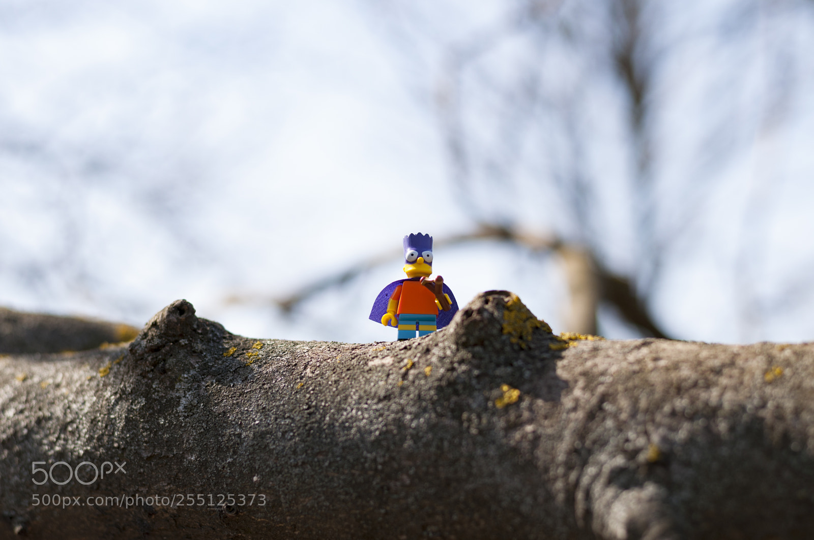 Nikon D5000 sample photo. Lego photography