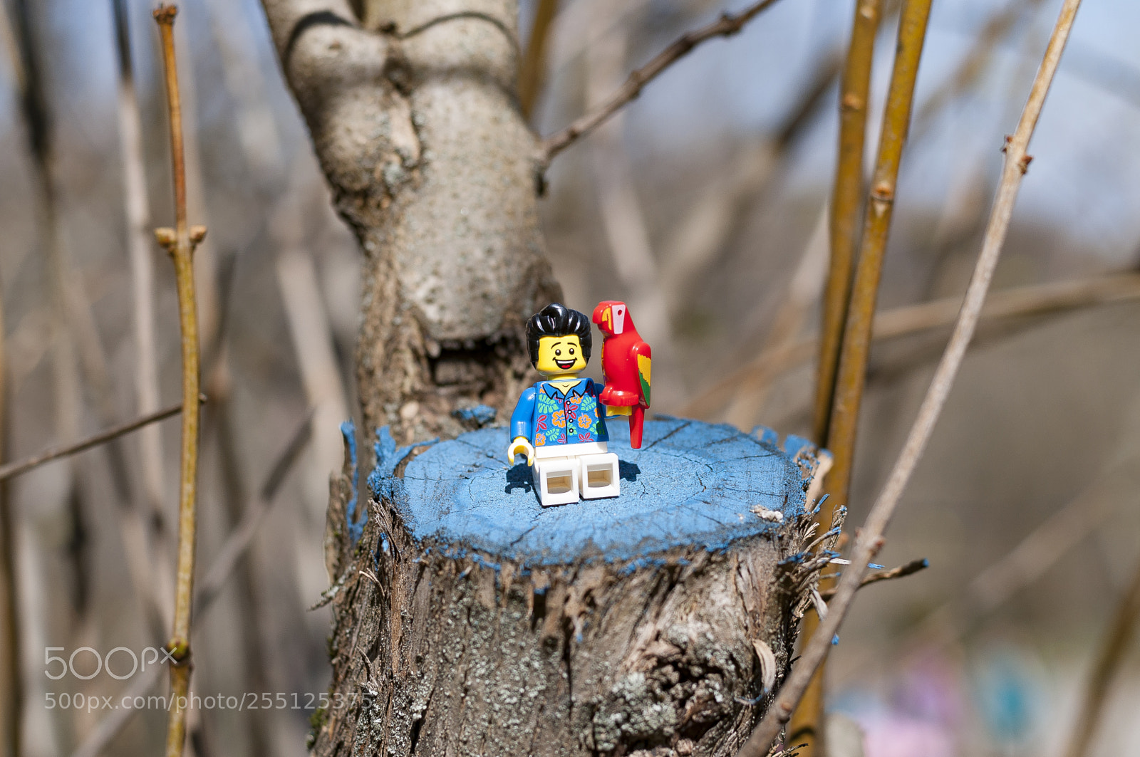 Nikon D5000 sample photo. Lego photography
