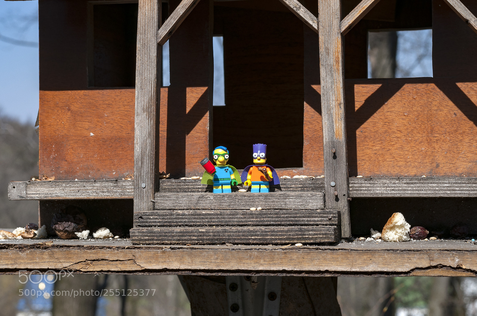 Nikon D5000 sample photo. Lego photography