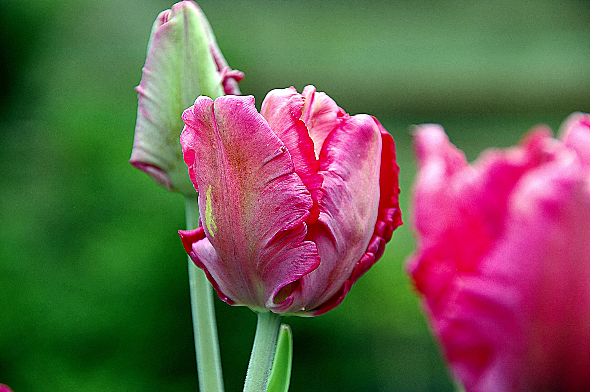Pentax *ist DS sample photo