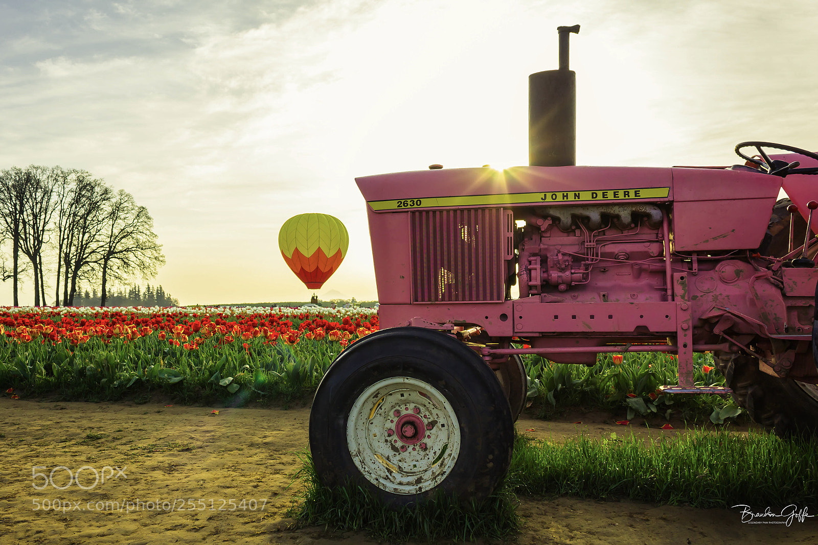 Canon EOS 1200D (EOS Rebel T5 / EOS Kiss X70 / EOS Hi) sample photo. Tractors, tulips, and balloons photography