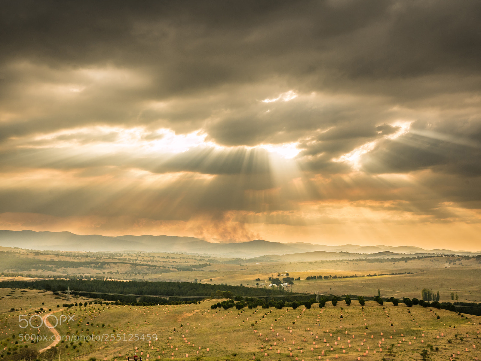 Panasonic Lumix DMC-GX7 sample photo. Crepuscular rays above the photography
