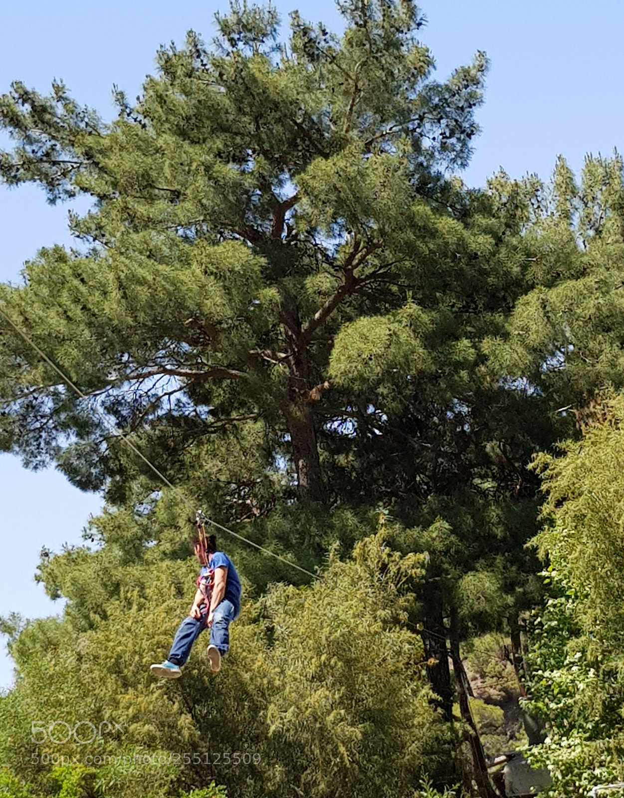 Samsung Galaxy S8 sample photo. Zip line in turkey. photography