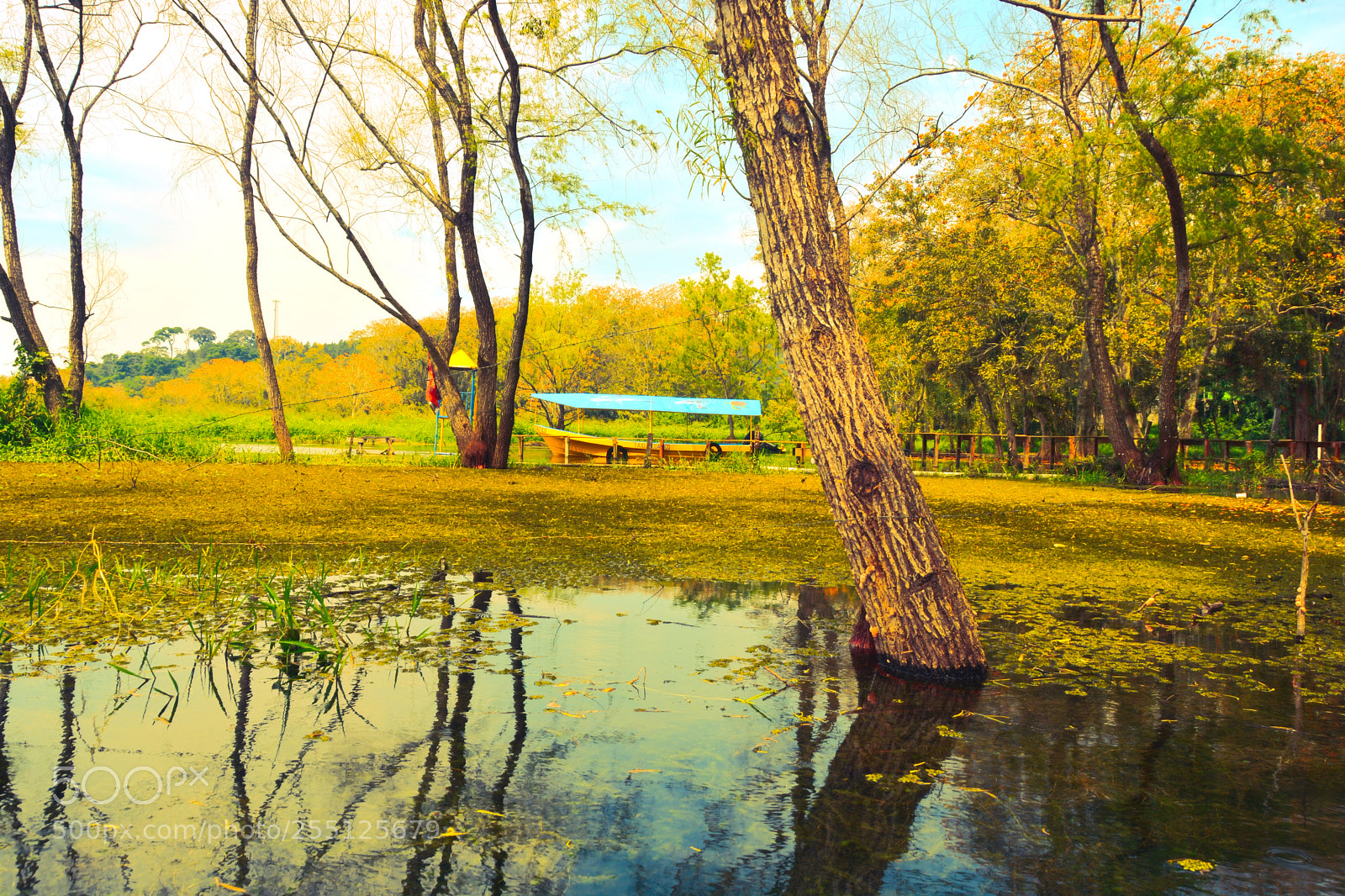 Nikon D7100 sample photo. Lago de yojoa photography