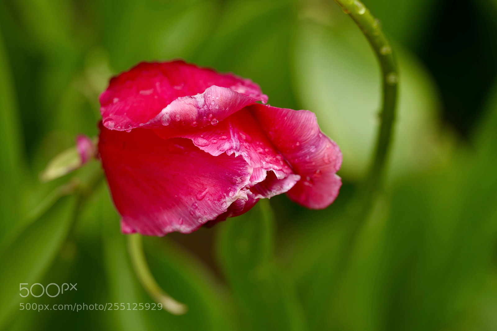 Leica SL (Typ 601) sample photo. Untitled photography