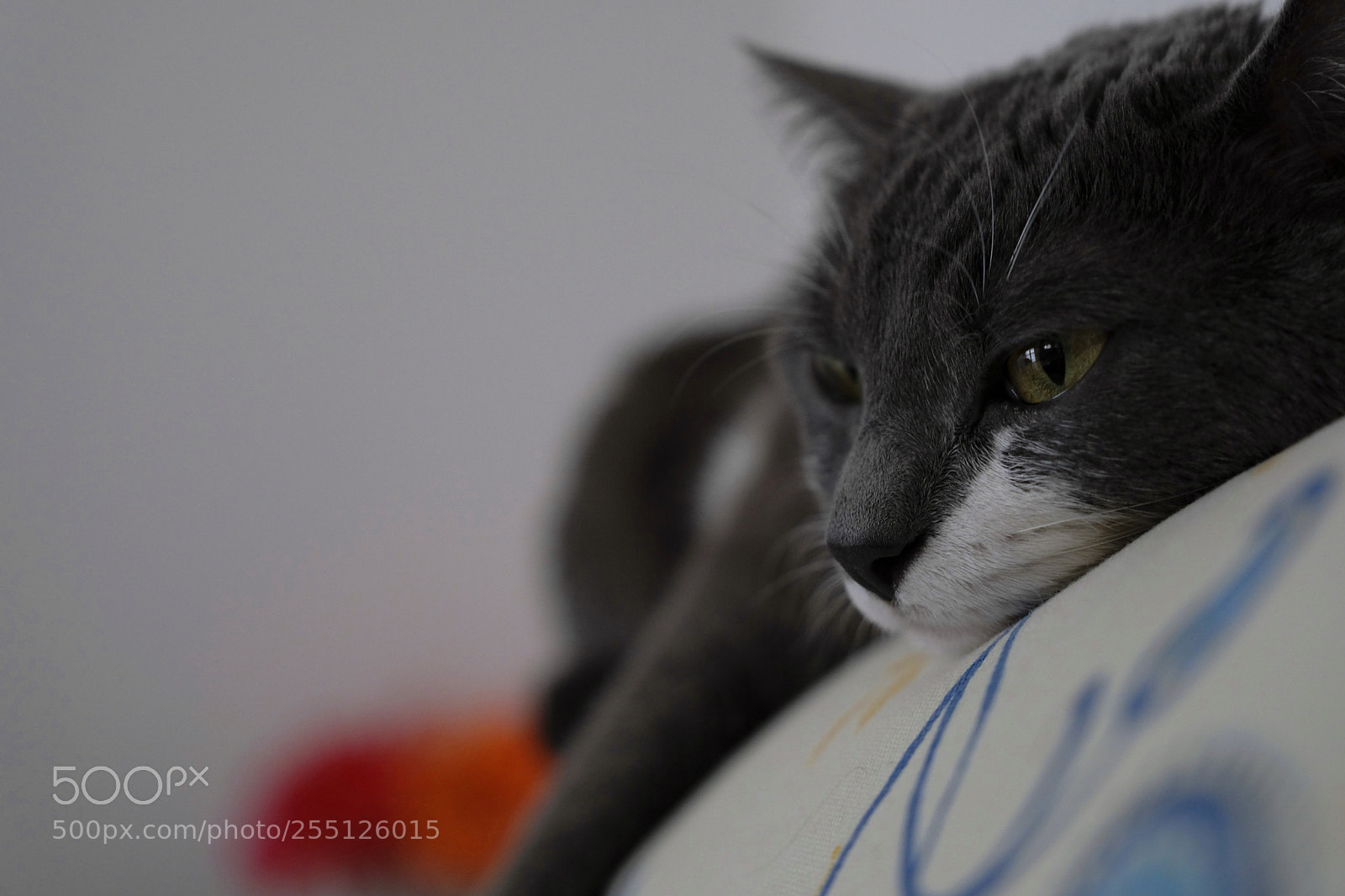 Fujifilm X-T2 sample photo. Shooting on sofa photography