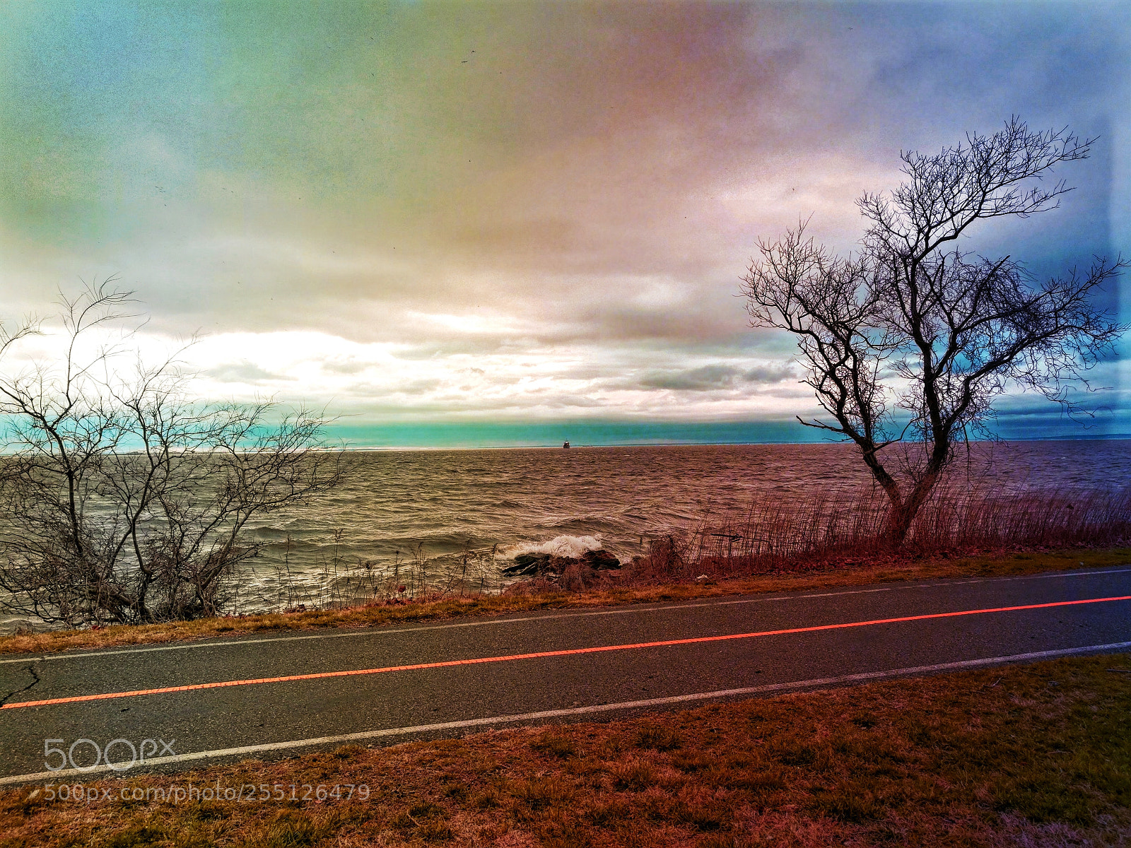 HUAWEI Honor 8 sample photo. Down by the bay photography