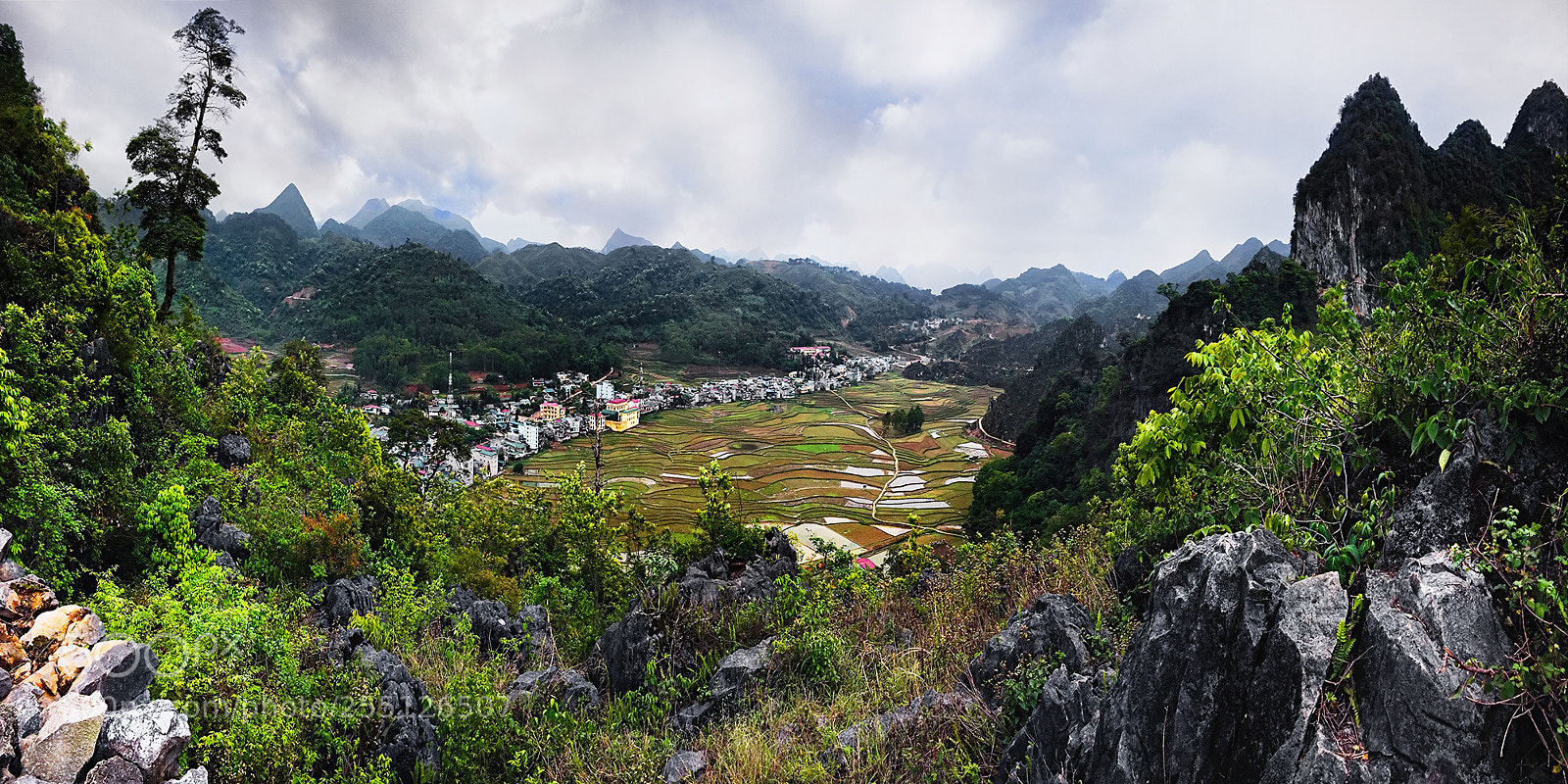 Apple iPhone 6s sample photo. 3119942.jpg photography