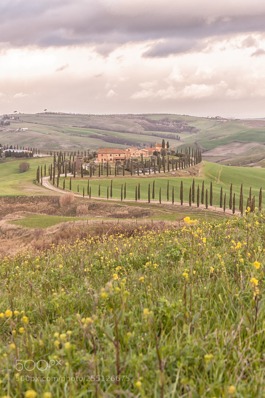 Canon EOS 50D sample photo. Tuscany  photography