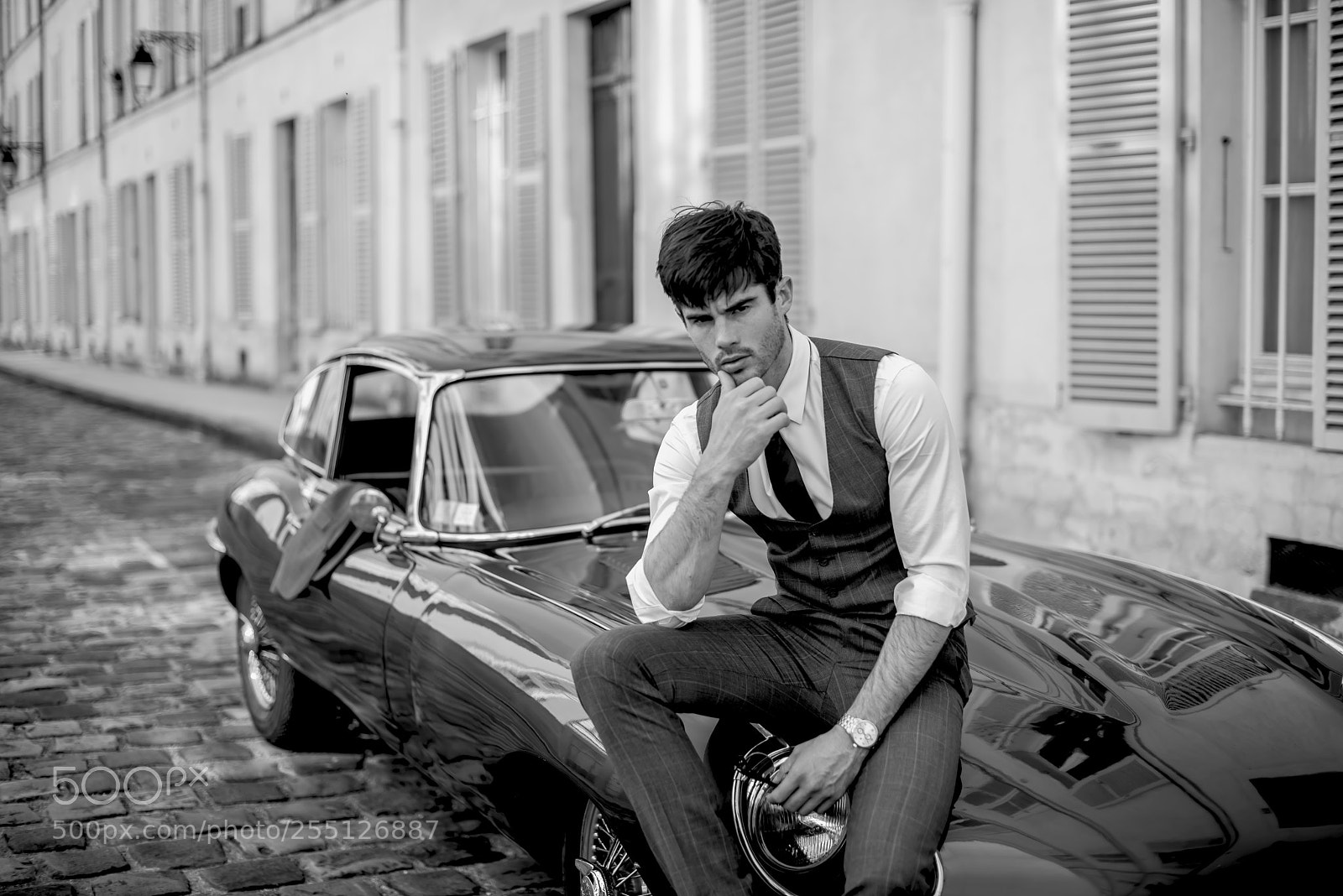 Nikon D800 sample photo. Jaguar photography