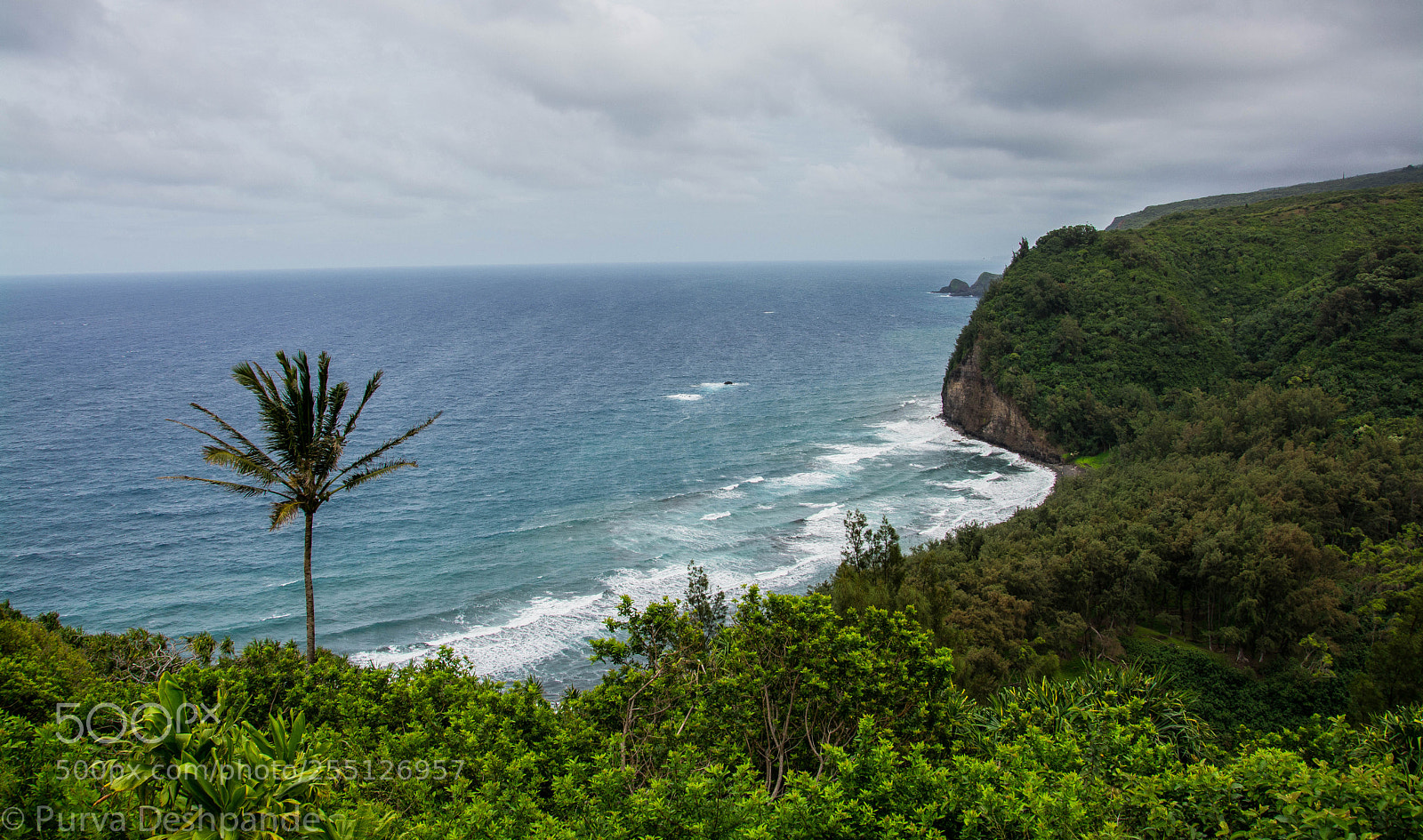 Nikon D5200 sample photo. Pololu valley overlook, hawaii photography