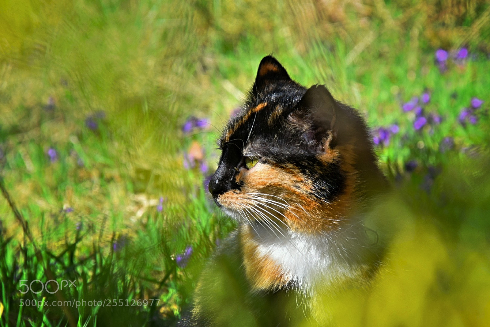 Nikon D5300 sample photo. Erst mal gucken...! photography