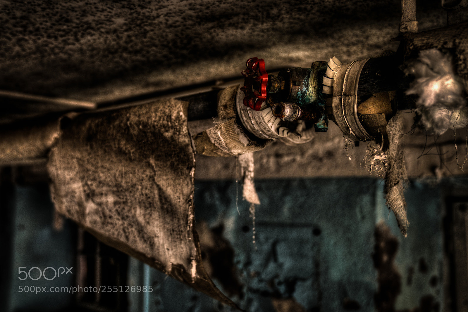 Sony a7R II sample photo. Red valve photography