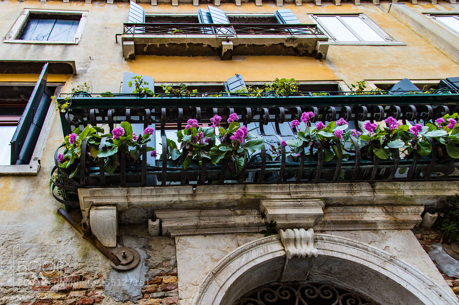 Canon EOS 5DS R sample photo. Gondola flower basket photography