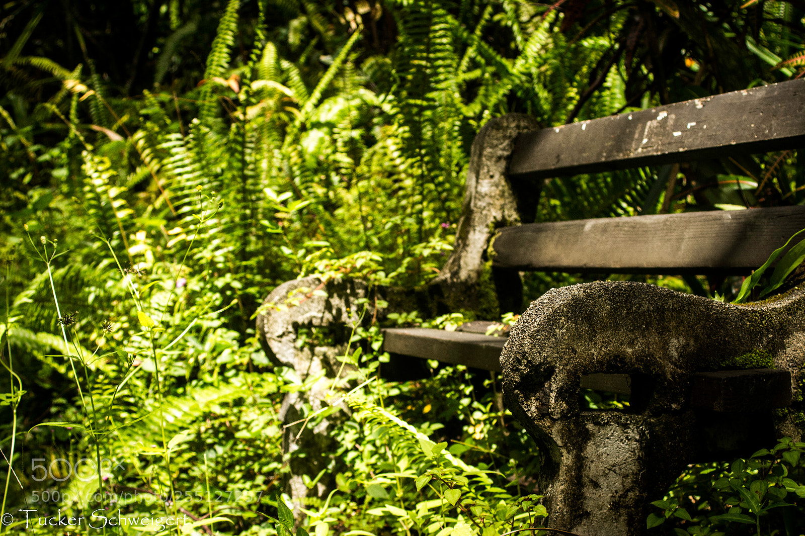 Canon EOS 700D (EOS Rebel T5i / EOS Kiss X7i) sample photo. Sitting alone photography