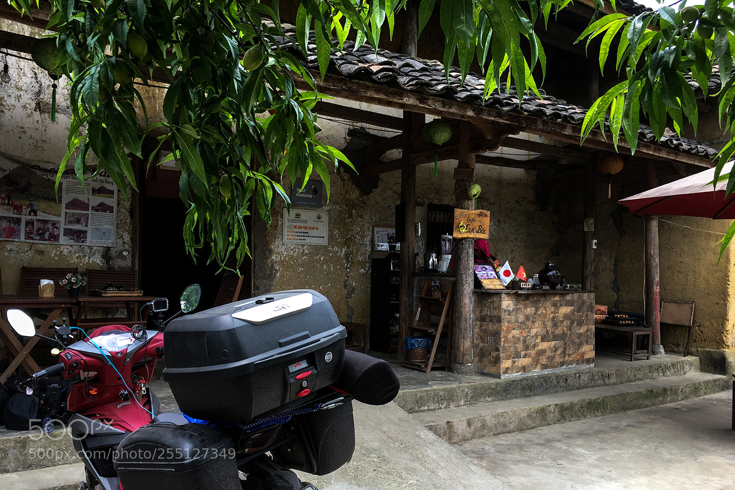 Apple iPhone 6s sample photo. 3119622.jpg photography