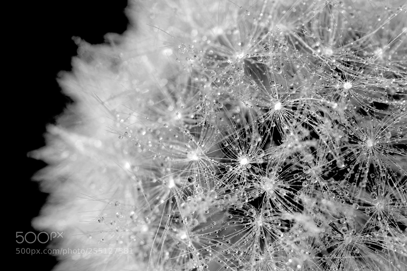 Nikon D3300 sample photo. Planet lost in deep photography