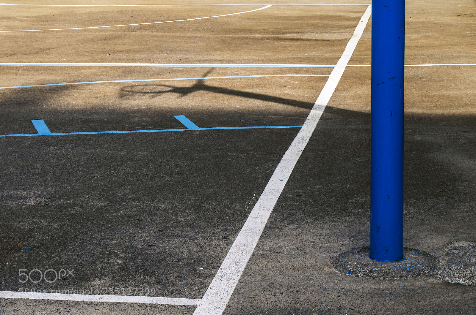 Pentax K-50 sample photo. _ photography