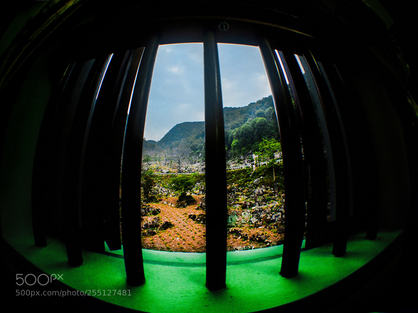 Canon EOS-1Ds Mark III sample photo. 3145862.jpg photography