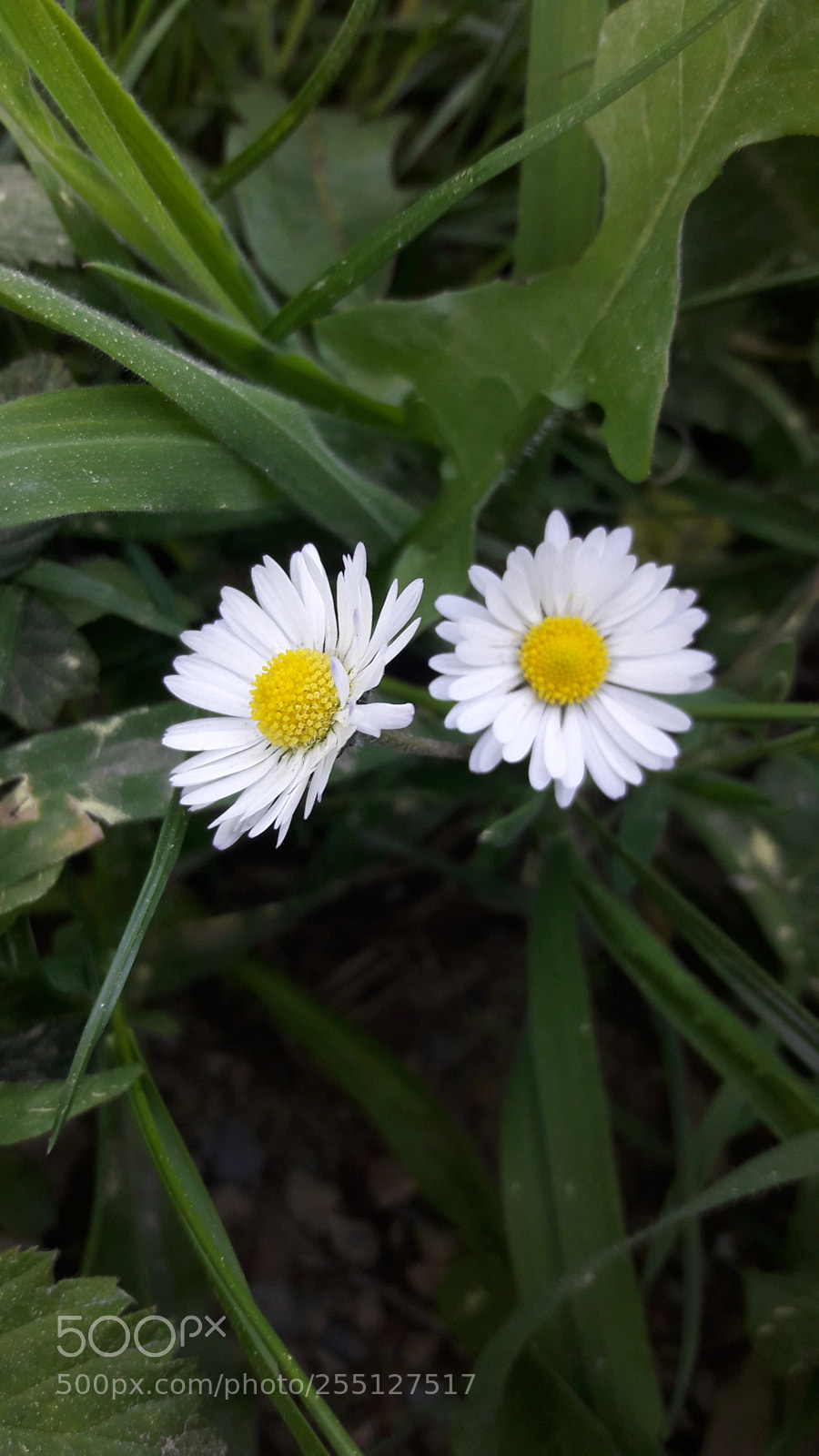 Samsung Galaxy J7 sample photo. Untitled photography