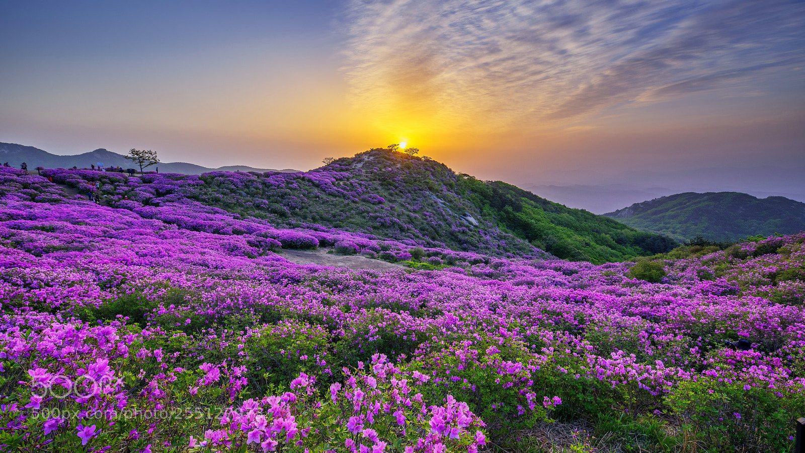 Nikon D810 sample photo. Mt. hwangmae photography