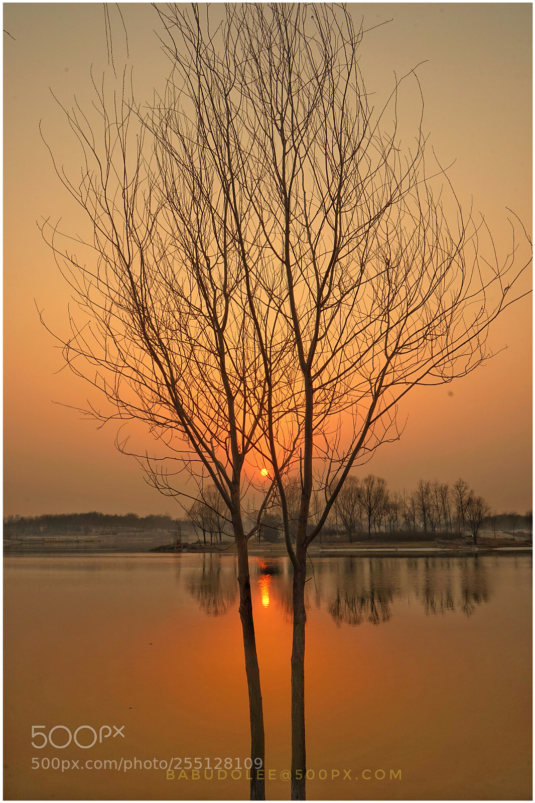 Sony a7 sample photo. Silence photography