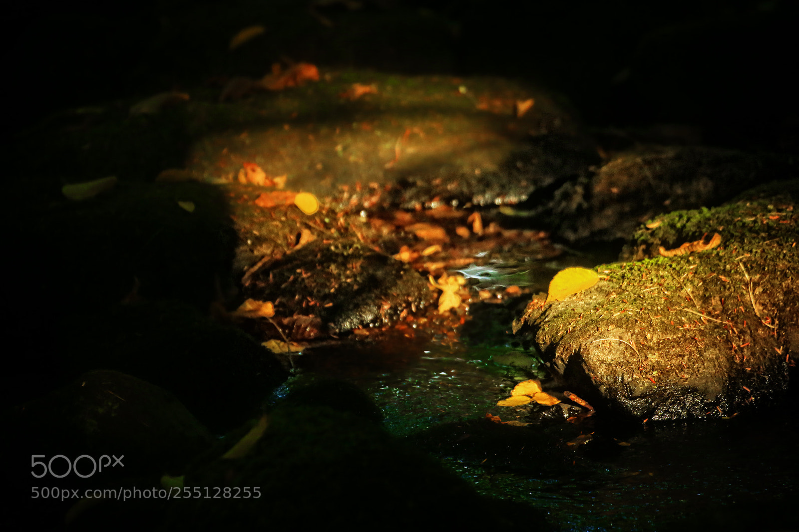 Canon EOS-1D X sample photo. Stream of light photography