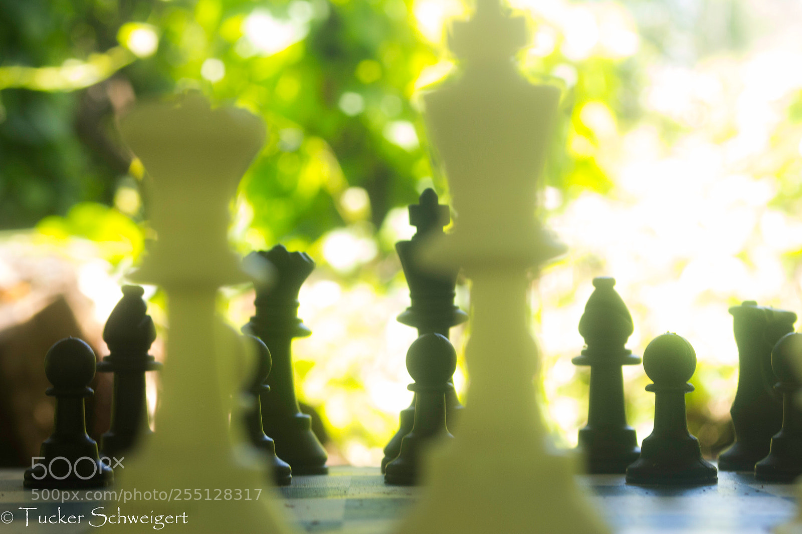 Canon EOS 700D (EOS Rebel T5i / EOS Kiss X7i) sample photo. Richalistic blur photography