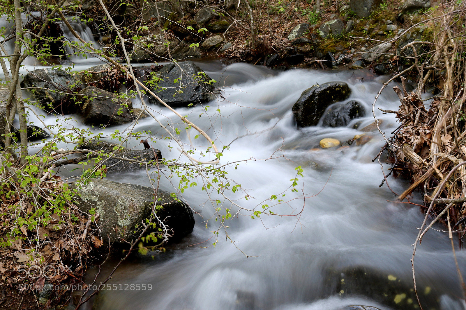Canon EOS 750D (EOS Rebel T6i / EOS Kiss X8i) sample photo. River photography