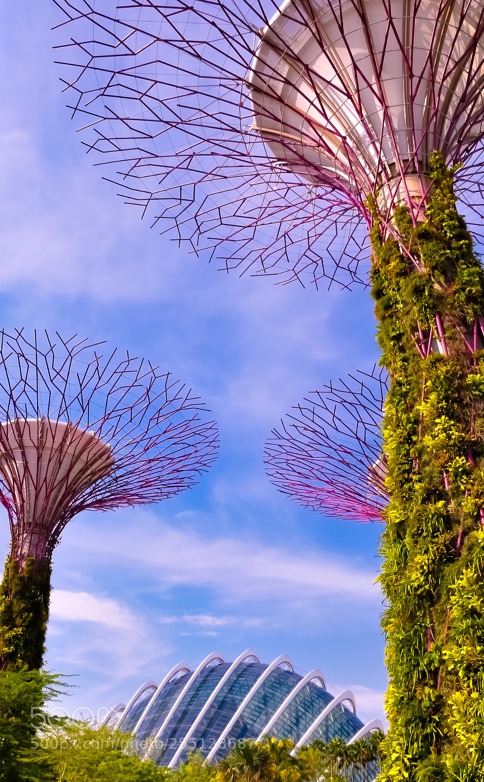Nikon D90 sample photo. Sky garden photography