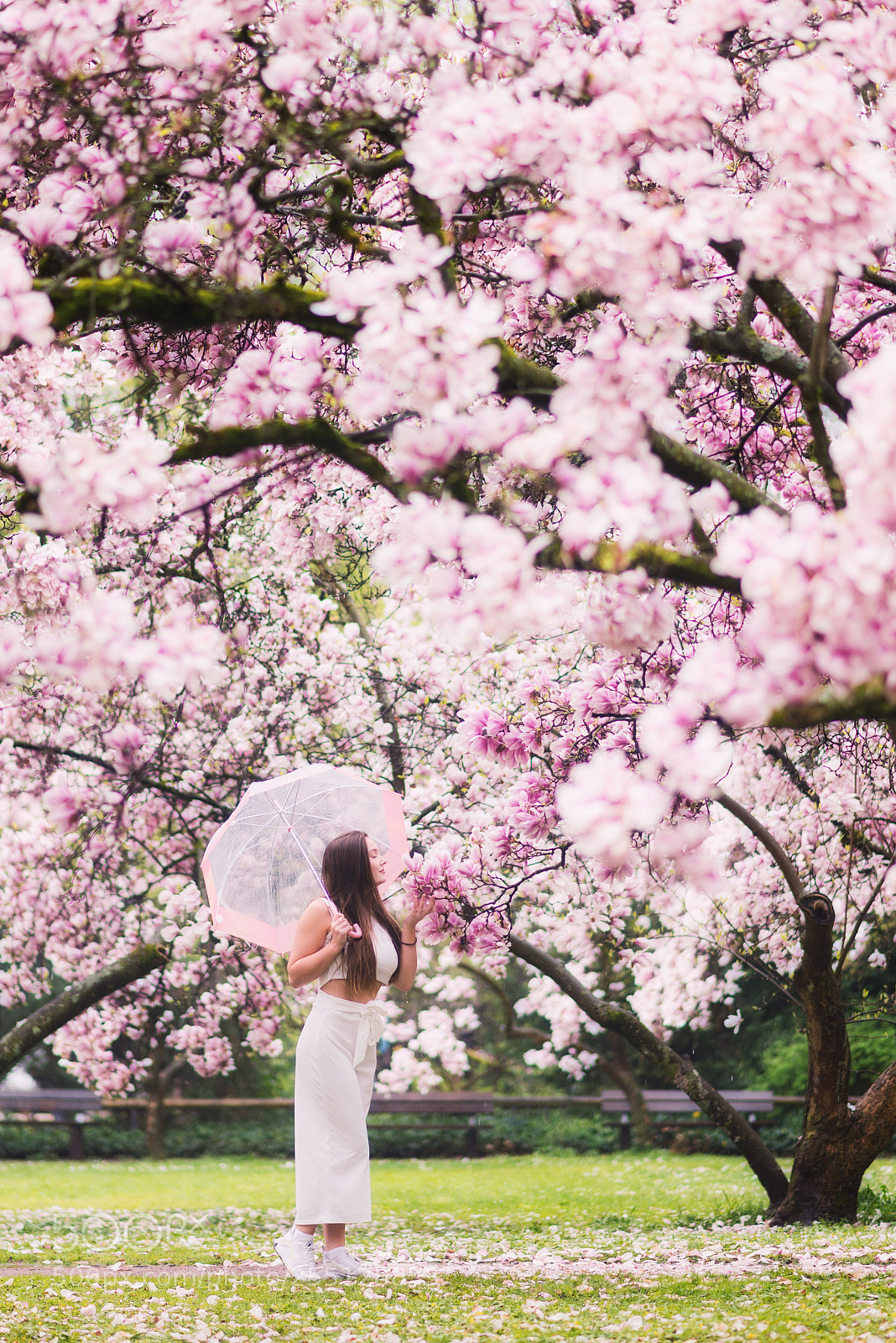 Nikon D800 sample photo. Marie photography