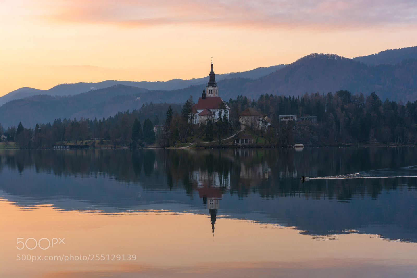 Nikon D7100 sample photo. Morning on the lake photography