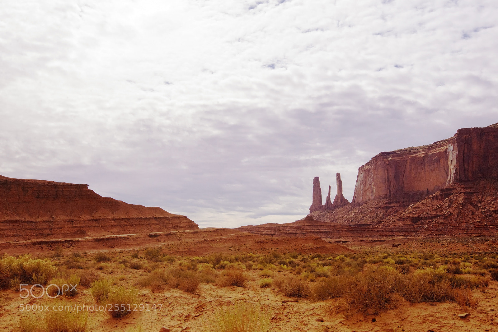 Nikon D600 sample photo. Distant sisters (1) photography