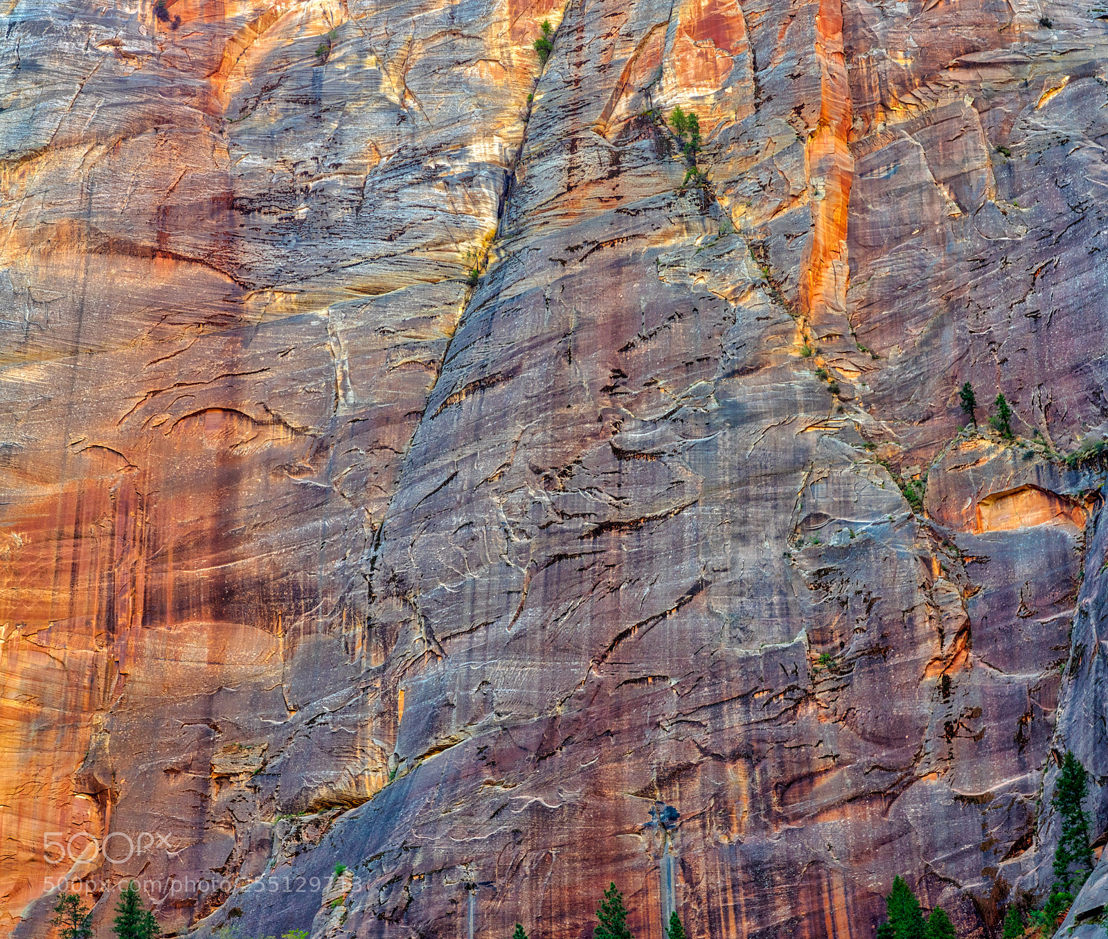 Pentax K-3 II sample photo. Zion national park photography