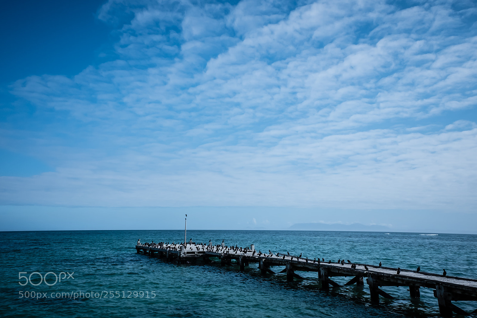 Fujifilm X70 sample photo. Gb1 photography
