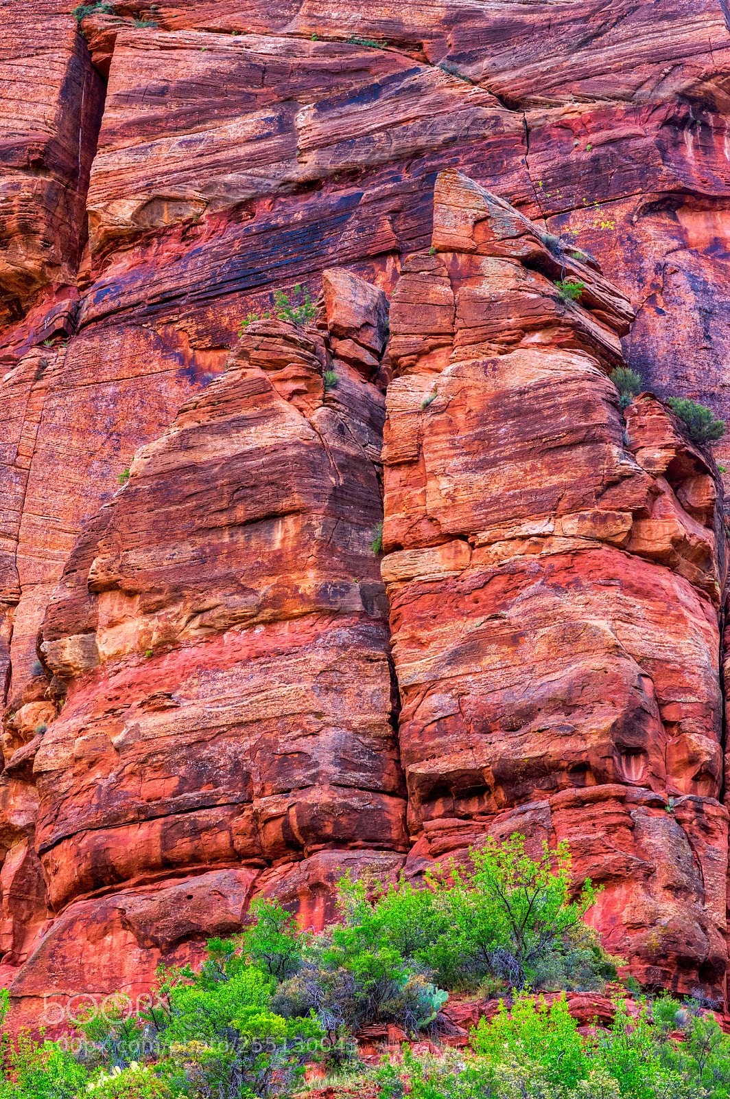 Pentax K-3 II sample photo. Zion national park photography