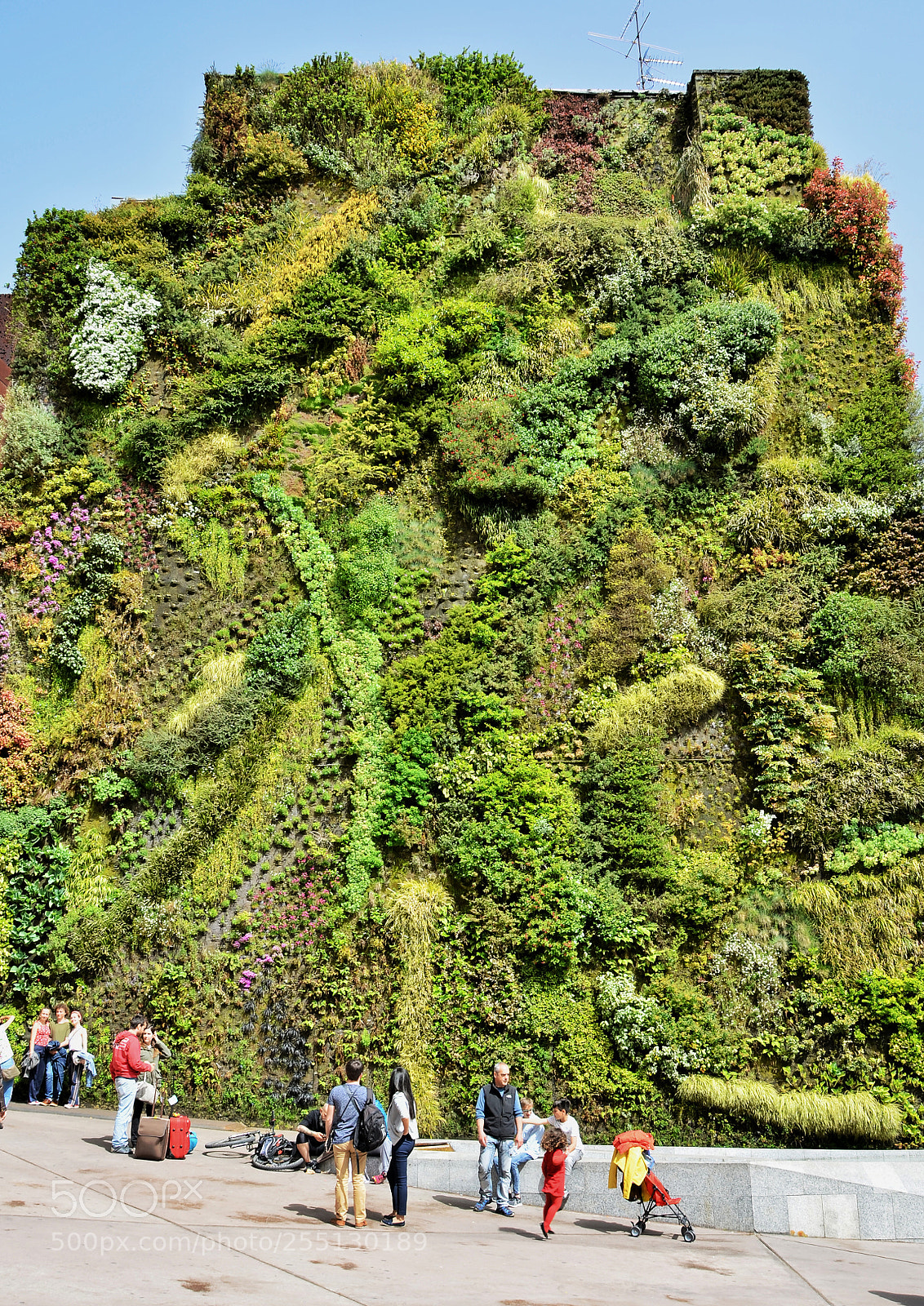 Nikon D5100 sample photo. Jardín vertical photography