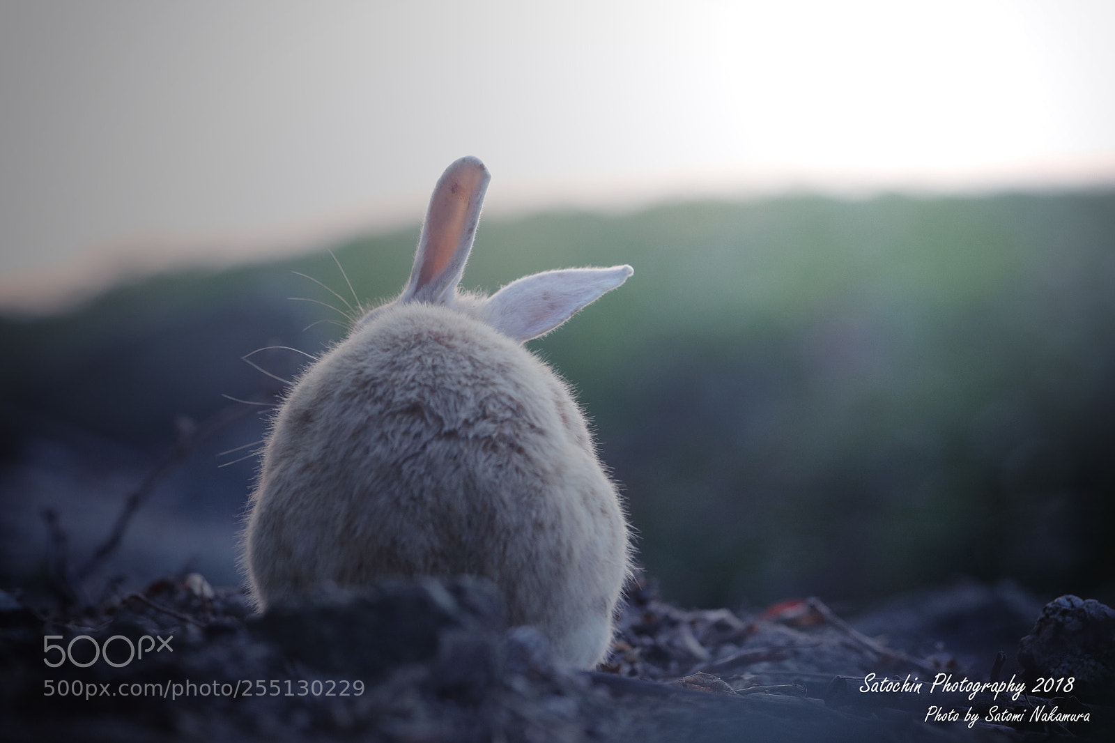 Canon EOS 7D Mark II sample photo. Vacant paradise photography