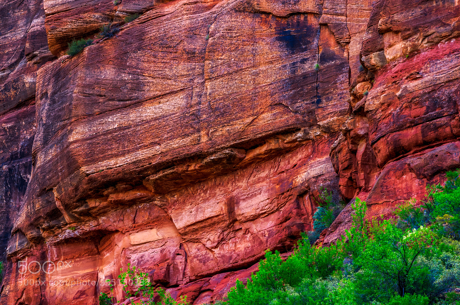 Pentax K-3 II sample photo. Zion national park photography