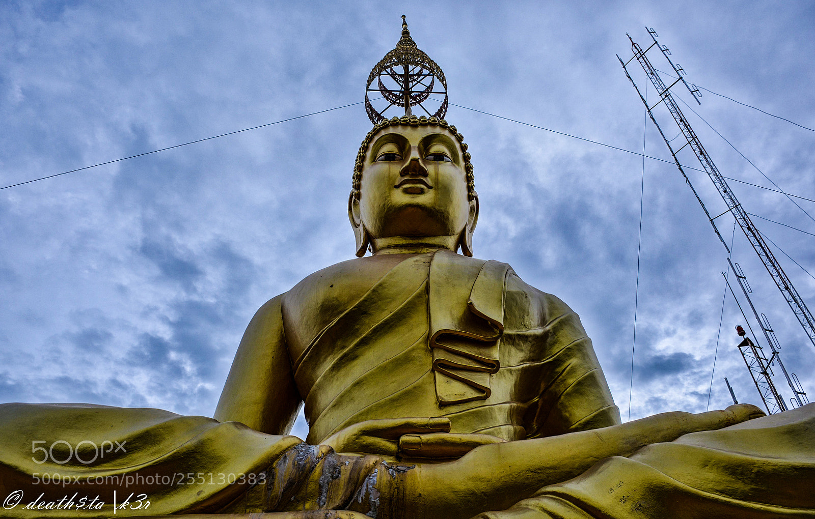 Nikon D7100 sample photo. Tiger temple photography