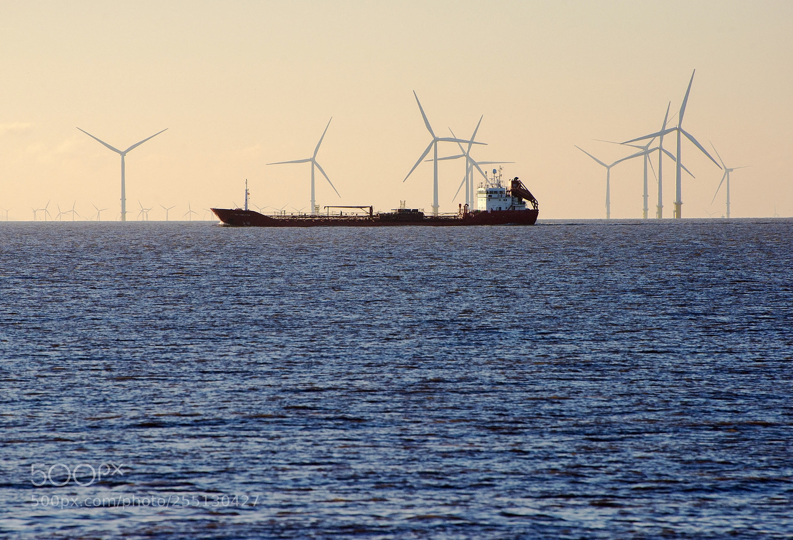 Nikon D600 sample photo. Sailing in front (1) photography