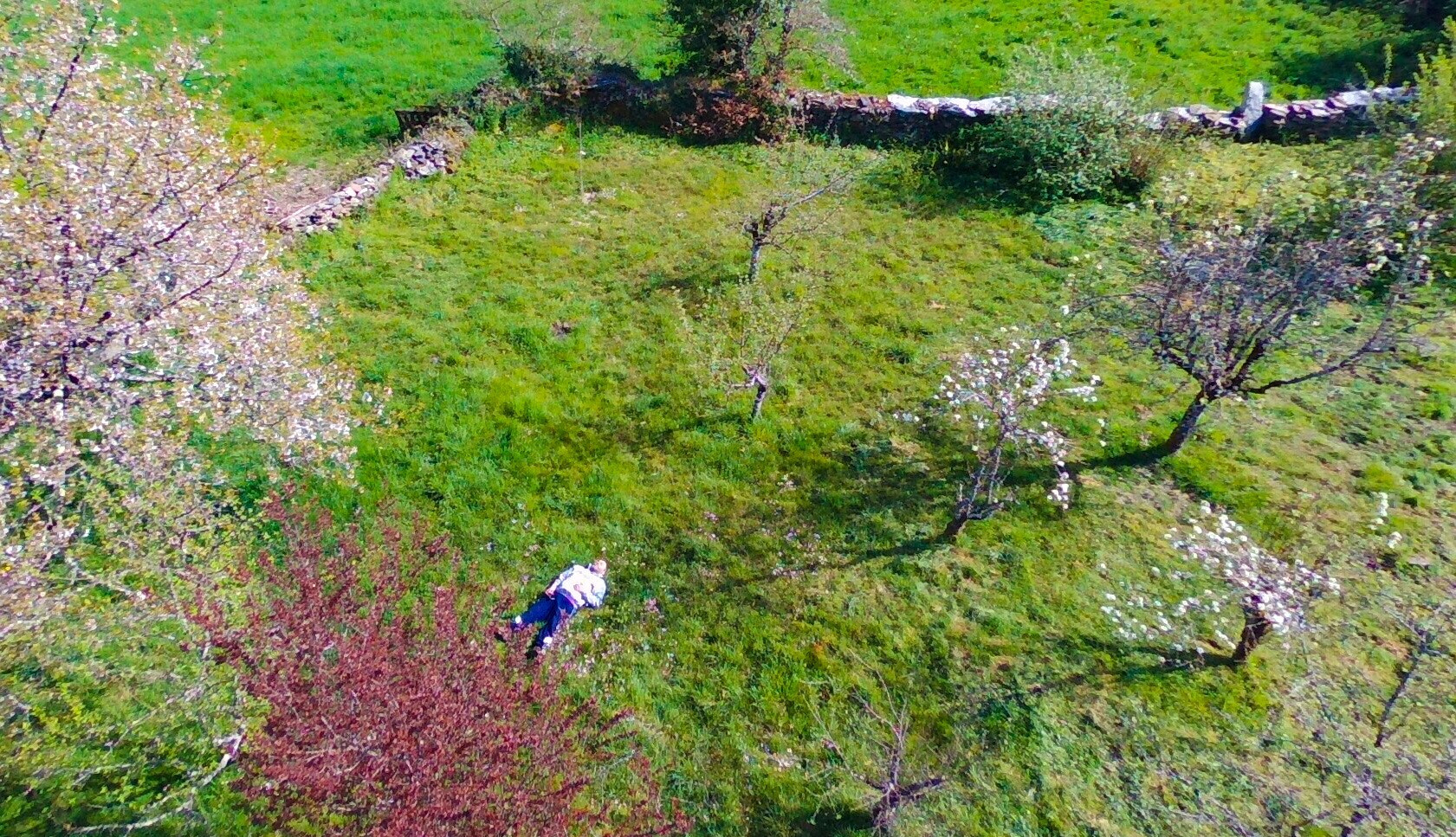 PARROT Bebop 2 sample photo