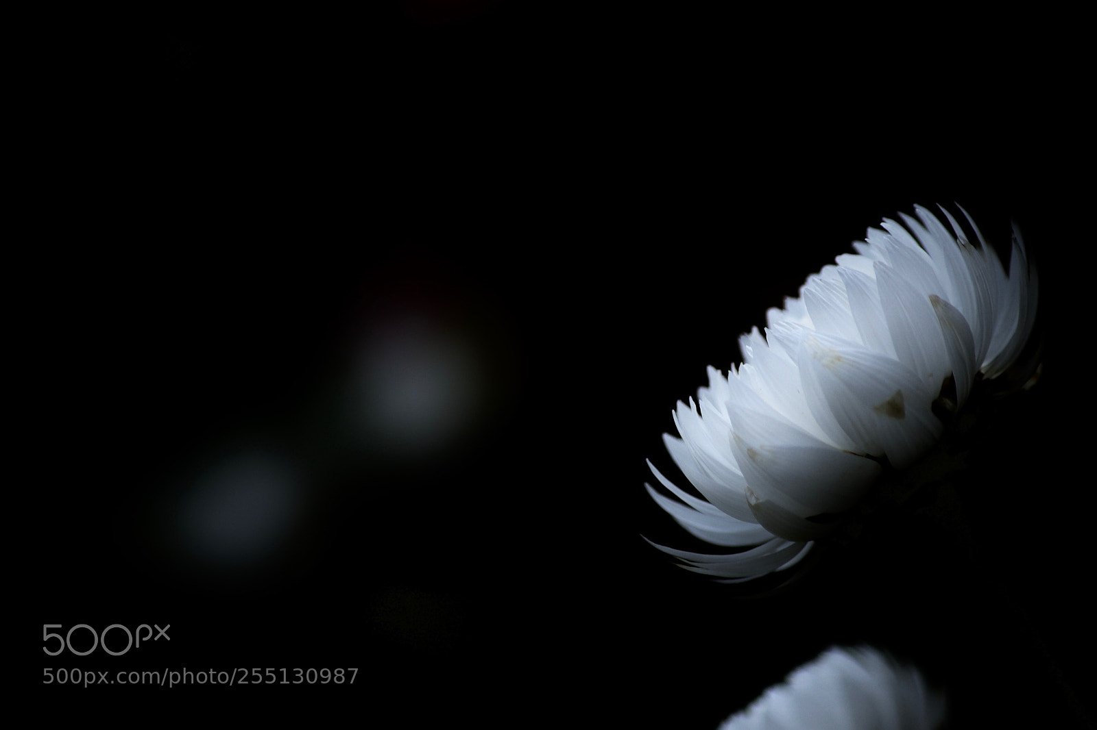 Nikon D3100 sample photo. Void photography