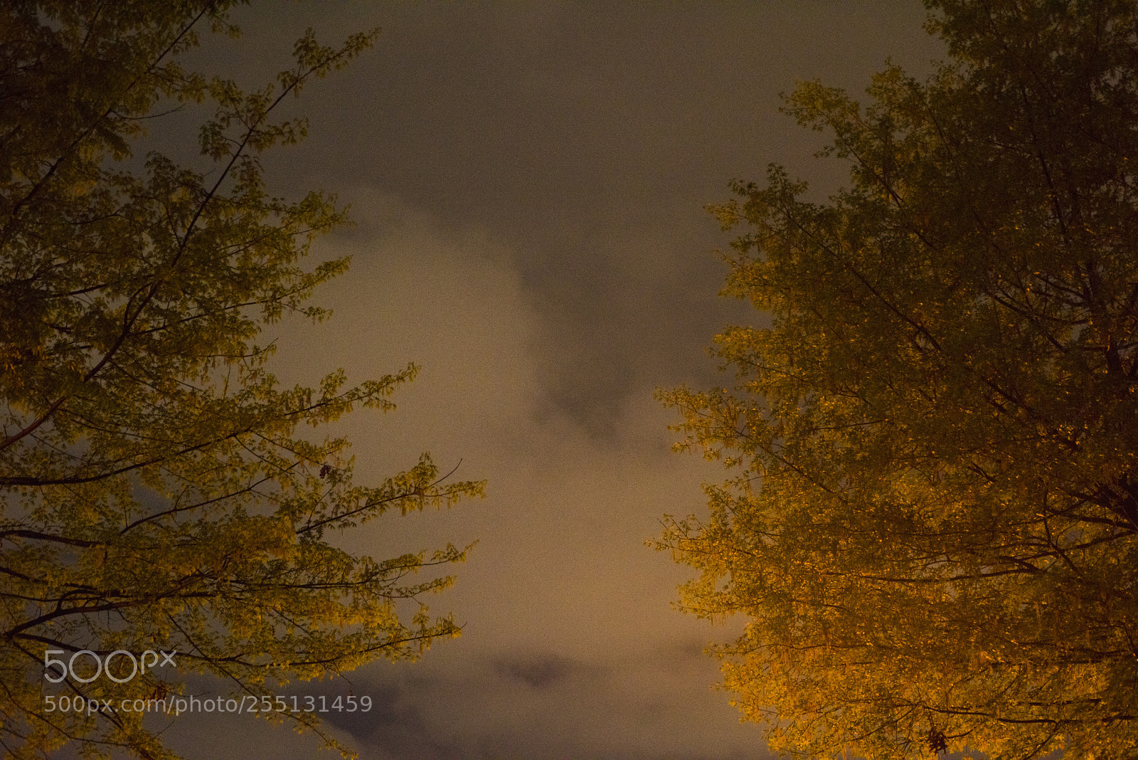 Nikon D810 sample photo. In a town  no.12 photography