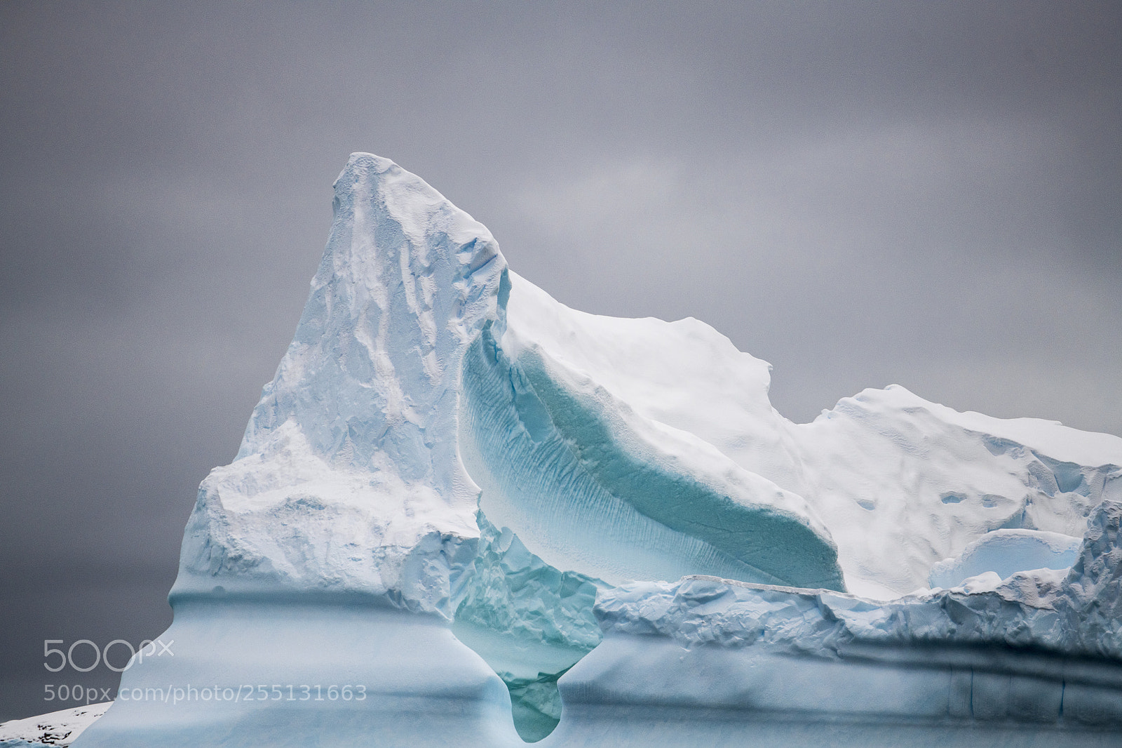 Nikon D850 sample photo. Iceberg art in antarctica photography