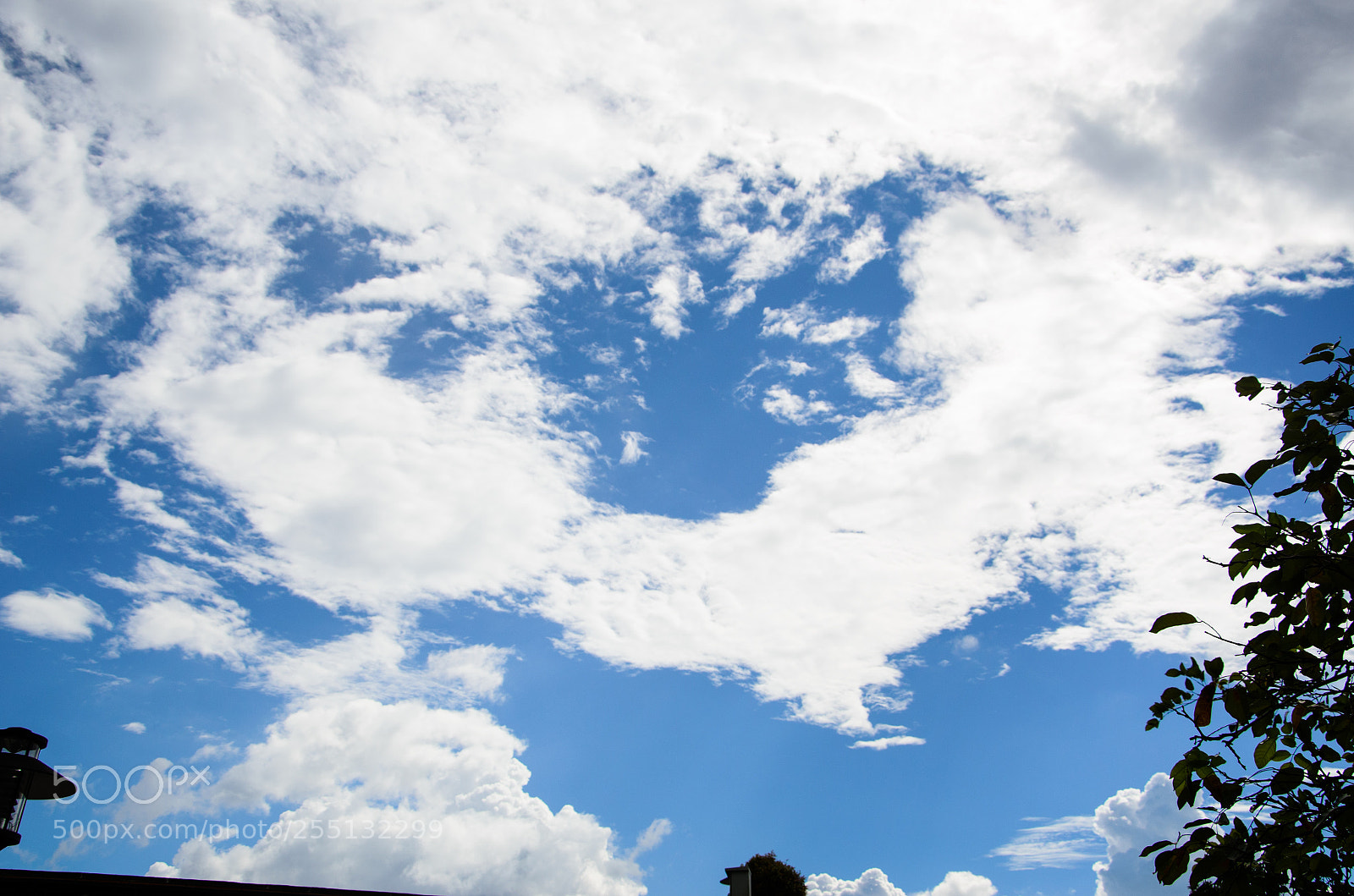 Nikon D7000 sample photo. Love do have wings photography
